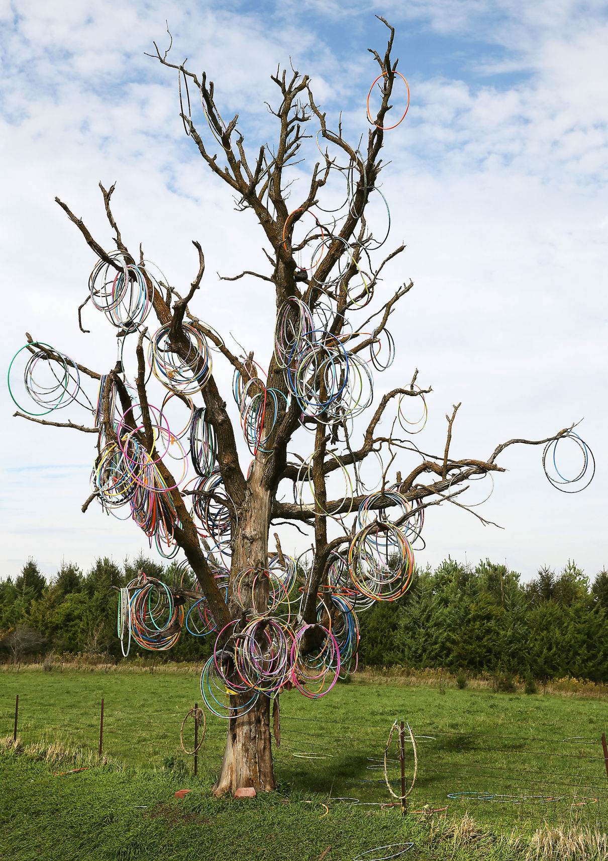 102518-Hula-Hoop-Tree-001